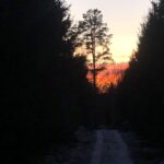 light at the end of a dark path